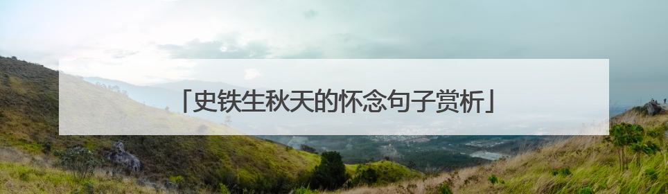 史铁生秋天的怀念句子赏析