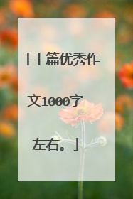 十篇优秀作文1000字左右。