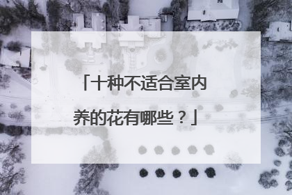 十种不适合室内养的花有哪些?