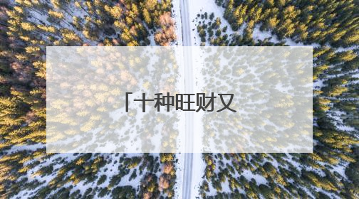 十种旺财又旺宅的花