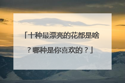 十种最漂亮的花都是啥？哪种是你喜欢的？