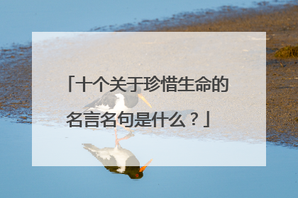 十个关于珍惜生命的名言名句是什么?