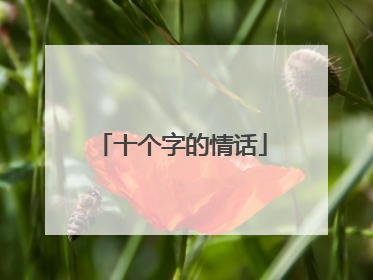 十个字的情话