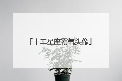 十二星座霸气头像