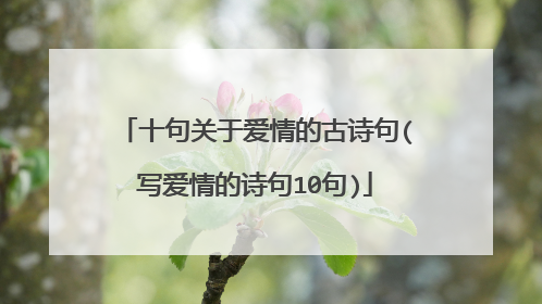 十句关于爱情的古诗句(写爱情的诗句10句)