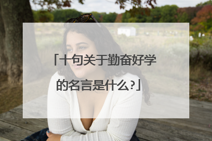 十句关于勤奋好学的名言是什么?