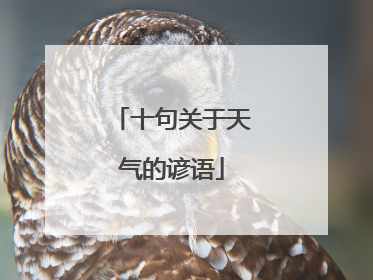 十句关于天气的谚语