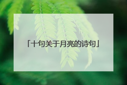 十句关于月亮的诗句