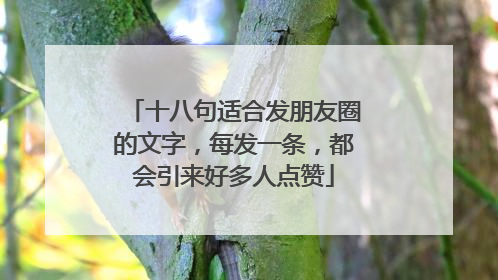 十八句适合发朋友圈的文字，每发一条，都会引来好多人点赞