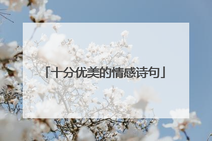十分优美的情感诗句
