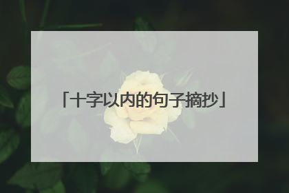 十字以内的句子摘抄