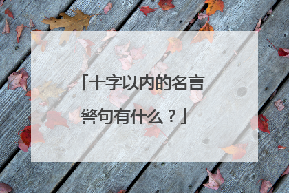 十字以内的名言警句有什么？