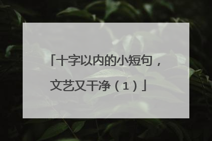 十字以内的小短句,文艺又干净(1)
