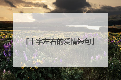 十字左右的爱情短句