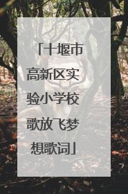 十堰市高新区实验小学校歌放飞梦想歌词