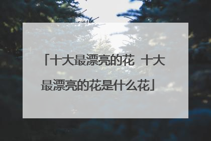 十大最漂亮的花 十大最漂亮的花是什么花