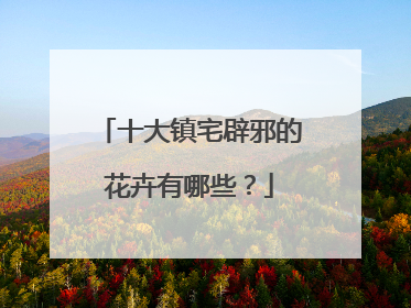 十大镇宅辟邪的花卉有哪些？