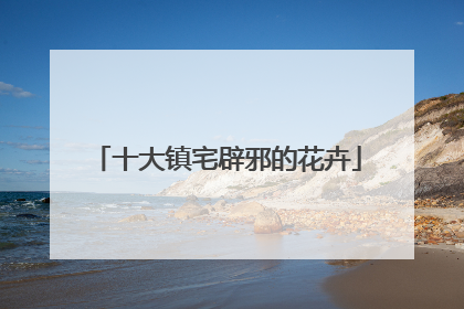 十大镇宅辟邪的花卉