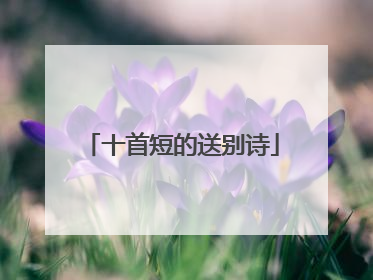 十首短的送别诗