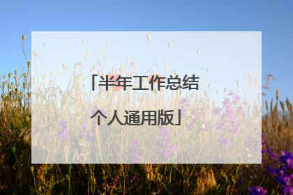 半年工作总结个人通用版