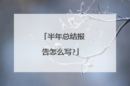半年总结报告怎么写?