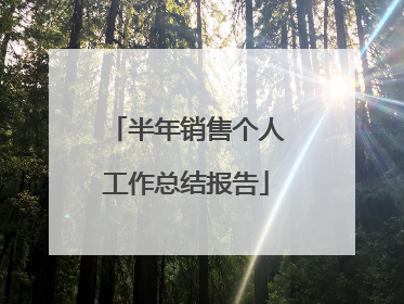 半年销售个人工作总结报告