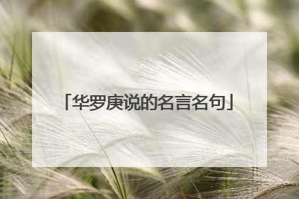 华罗庚说的名言名句