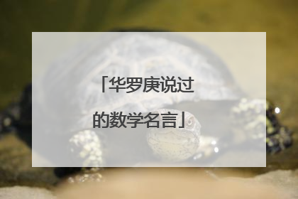 华罗庚说过的数学名言