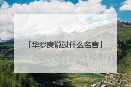 华罗庚说过什么名言