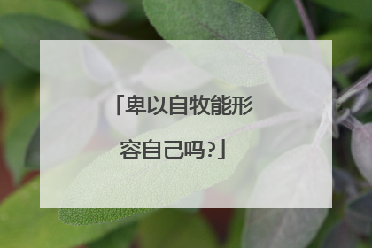 卑以自牧能形容自己吗?