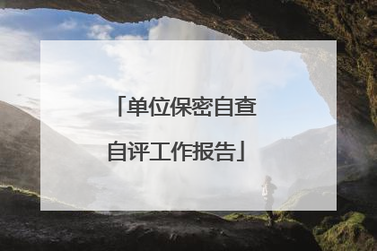 单位保密自查自评工作报告