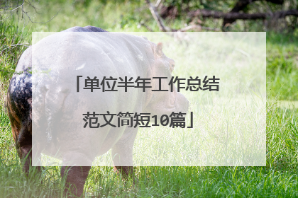 单位半年工作总结范文简短10篇