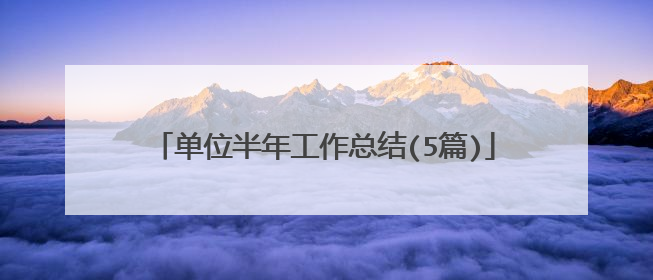 单位半年工作总结(5篇)