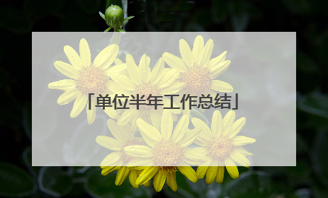 单位半年工作总结