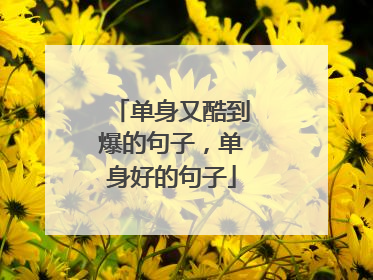 单身又酷到爆的句子,单身好的句子