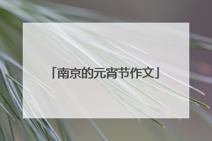 南京的元宵节作文