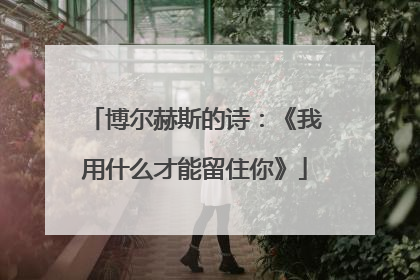 博尔赫斯的诗：《我用什么才能留住你》