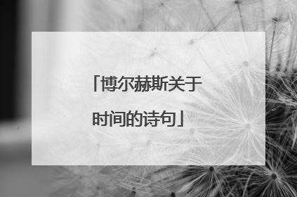 博尔赫斯关于时间的诗句