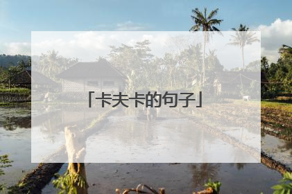 卡夫卡的句子