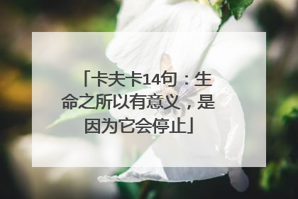 卡夫卡14句：生命之所以有意义，是因为它会停止