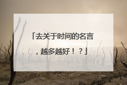 去关于时间的名言,越多越好!?