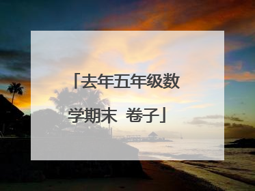 去年五年级数学期末 卷子