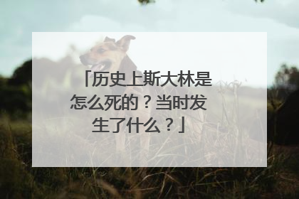 历史上斯大林是怎么死的？当时发生了什么？