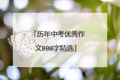 历年中考优秀作文800字精选