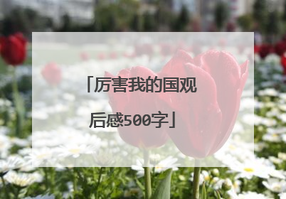 厉害我的国观后感500字