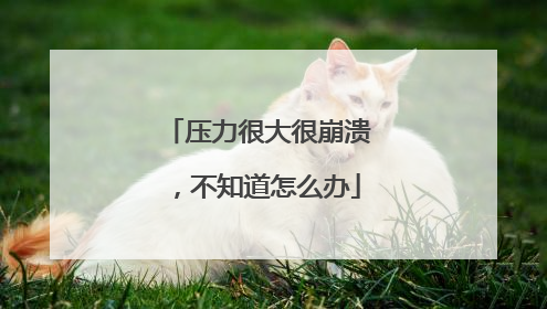 压力很大很崩溃，不知道怎么办