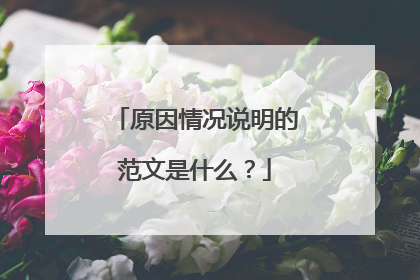 原因情况说明的范文是什么？