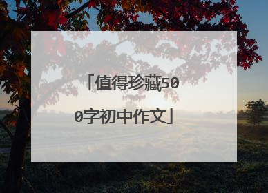 值得珍藏500字初中作文