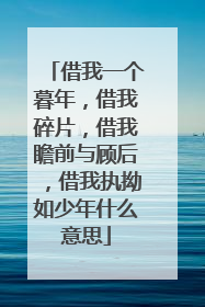 借我一个暮年，借我碎片，借我瞻前与顾后，借我执拗如少年什么意思