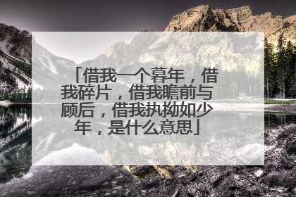 借我一个暮年，借我碎片，借我瞻前与顾后，借我执拗如少年，是什么意思
